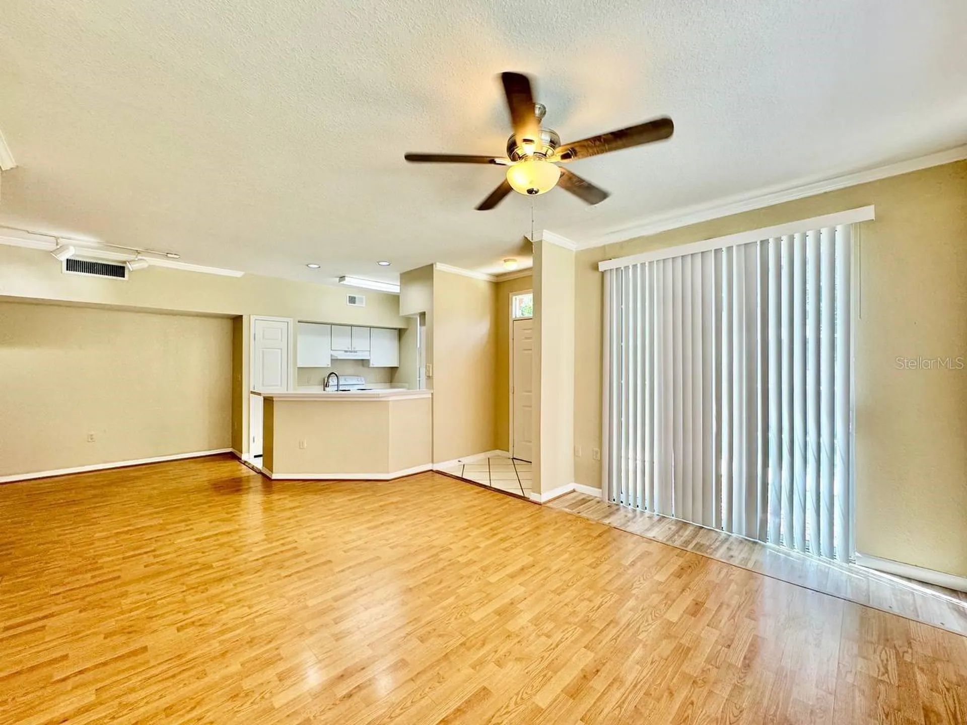 10440 White Lake Court Tampa FL 33626