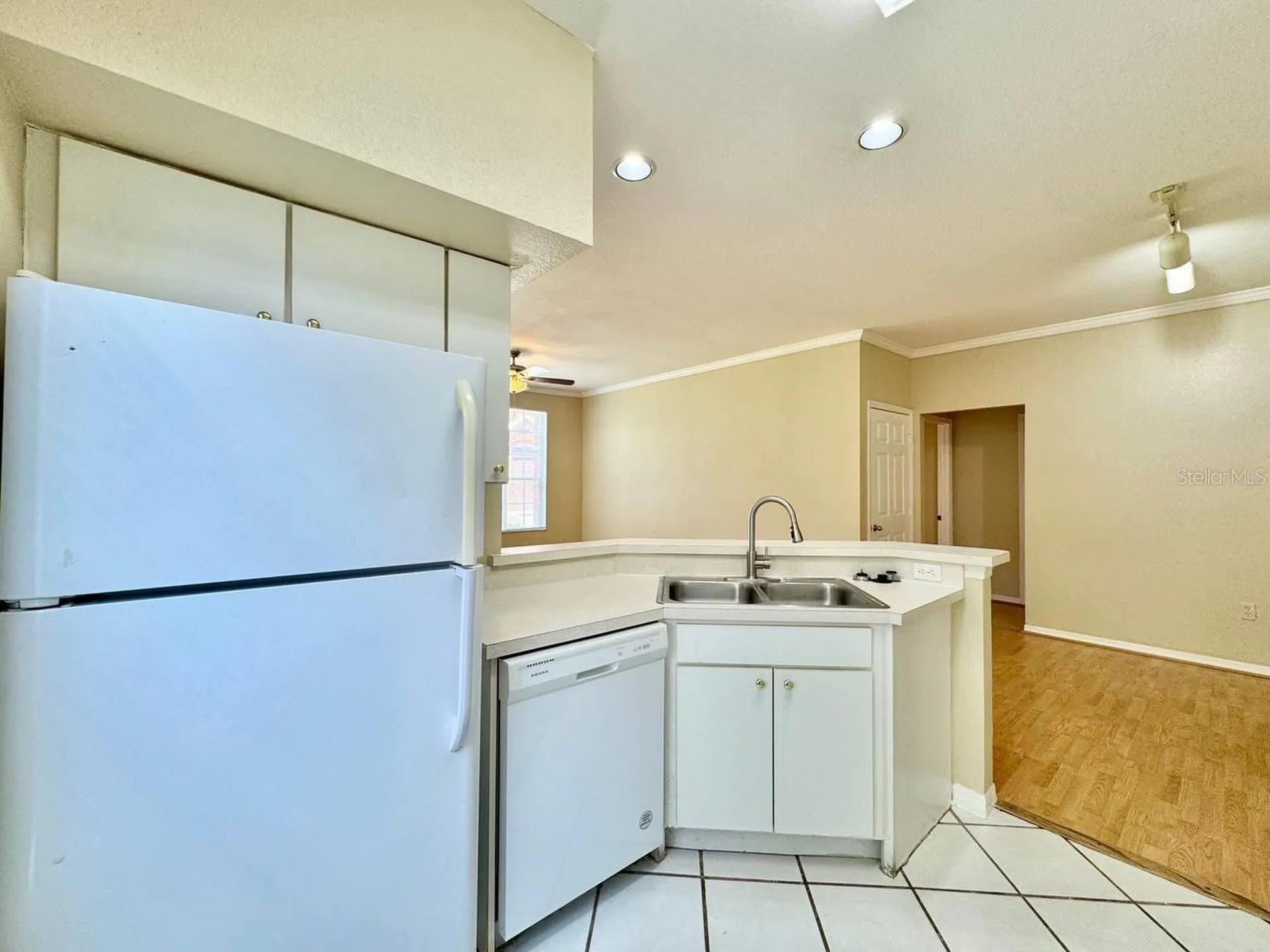 10440 White Lake Court Tampa FL 33626