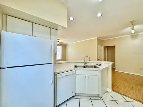 10440 White Lake Court Tampa FL 33626