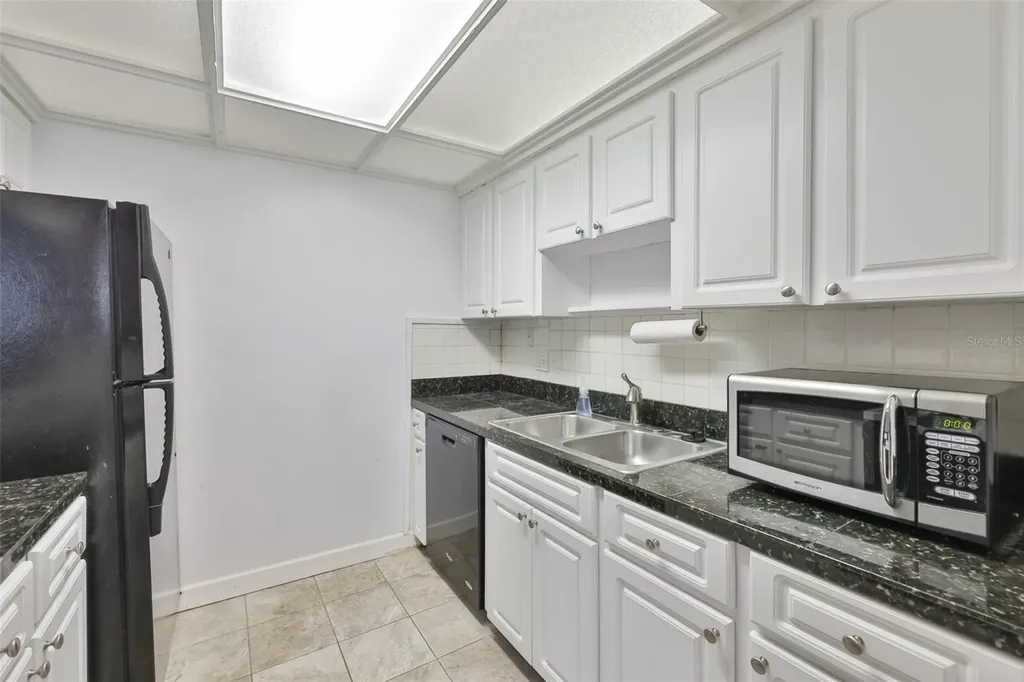 4315 Aegean Drive Tampa FL 33611