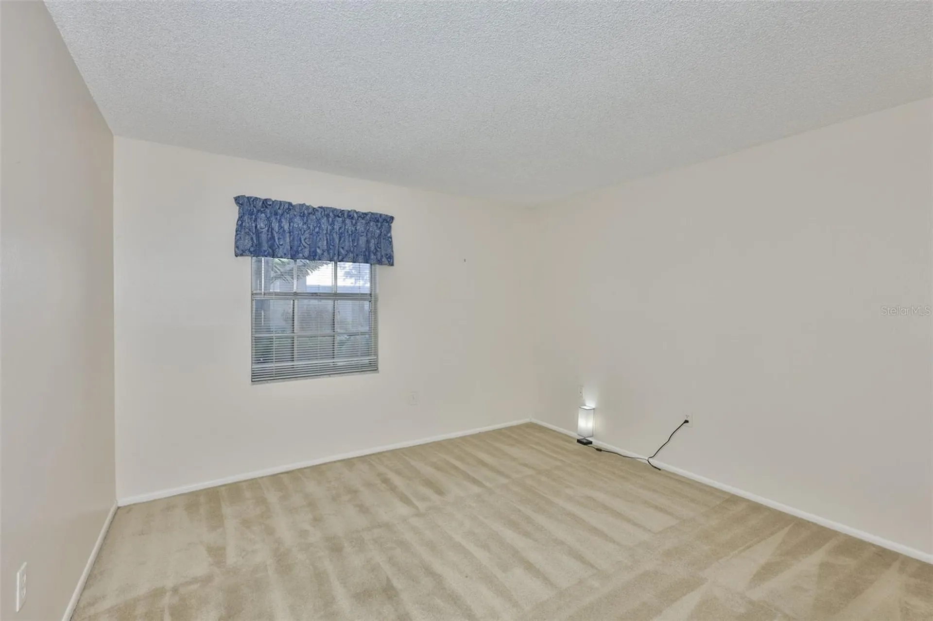 4315 Aegean Drive Tampa FL 33611