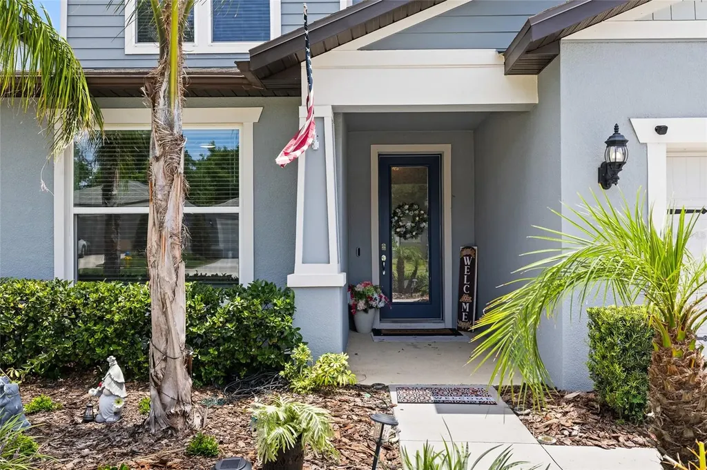 2781 Dolores Home Avenue Valrico FL 33594