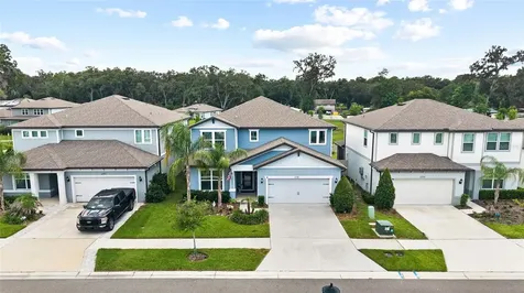 2781 Dolores Home Avenue Valrico FL 33594