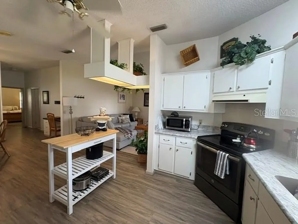 932 Chula Court Lady Lake FL 32159