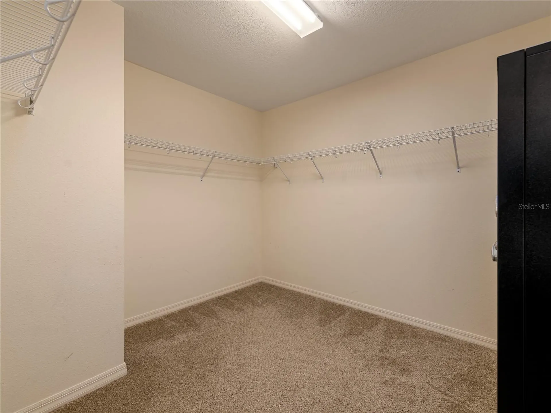 12833 Geneva Glade Drive Riverview FL 33578