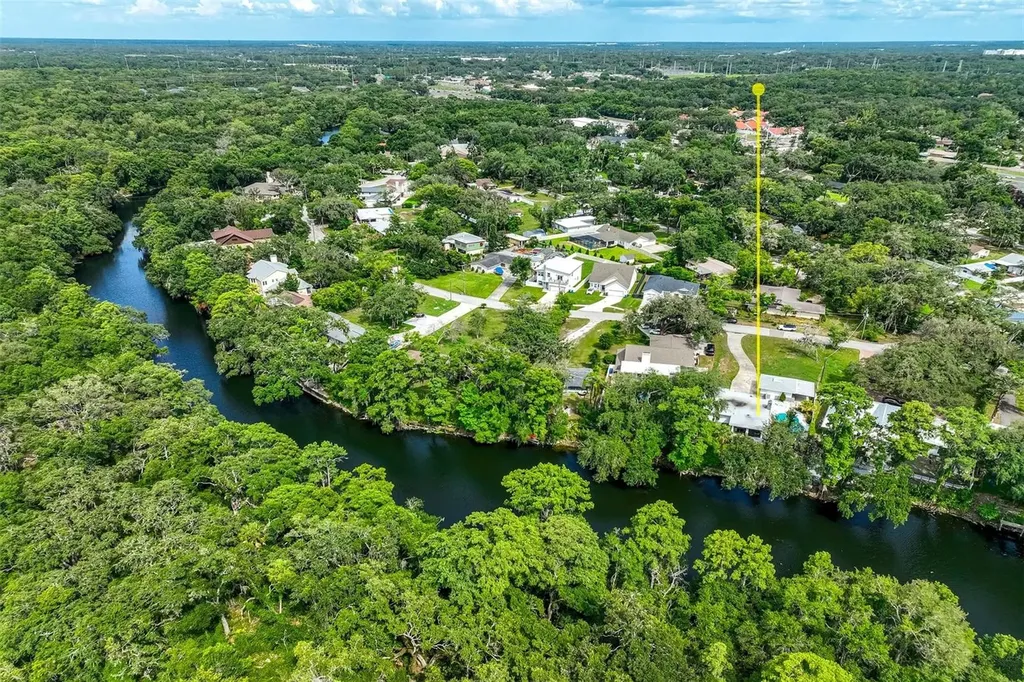 11935 Riverhills Drive Temple Terrace FL 33617