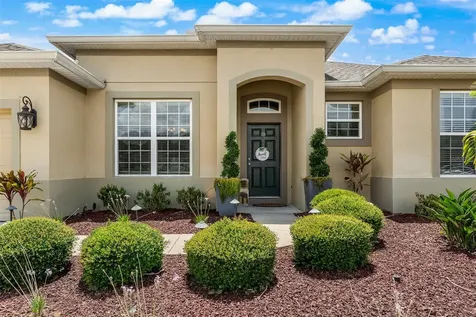 12313 Fountain Coin Way Clermont FL 34711