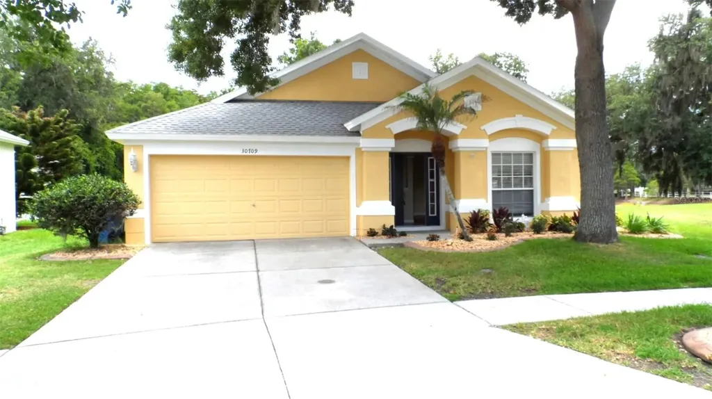 30709 Lanesborough Circle Wesley Chapel FL 33543
