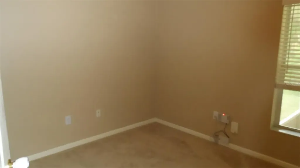 30709 Lanesborough Circle Wesley Chapel FL 33543