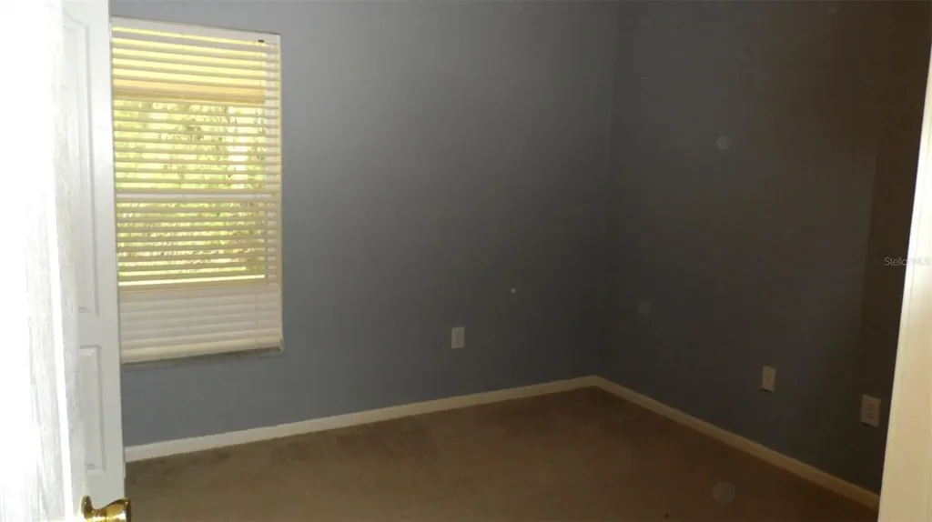 30709 Lanesborough Circle Wesley Chapel FL 33543
