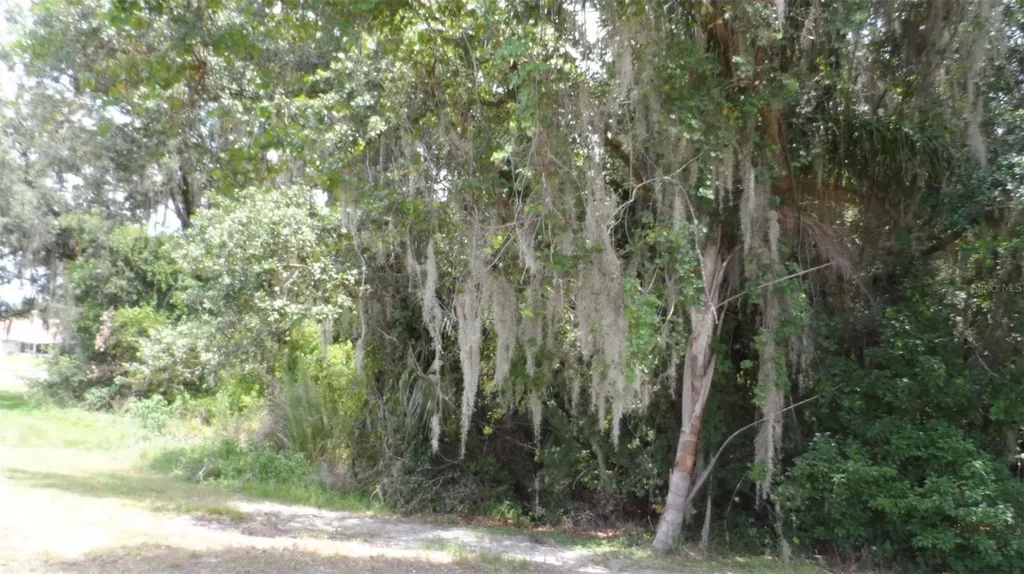 30709 Lanesborough Circle Wesley Chapel FL 33543