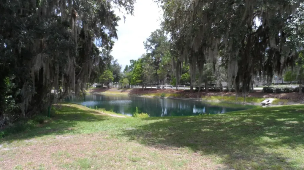 30709 Lanesborough Circle Wesley Chapel FL 33543