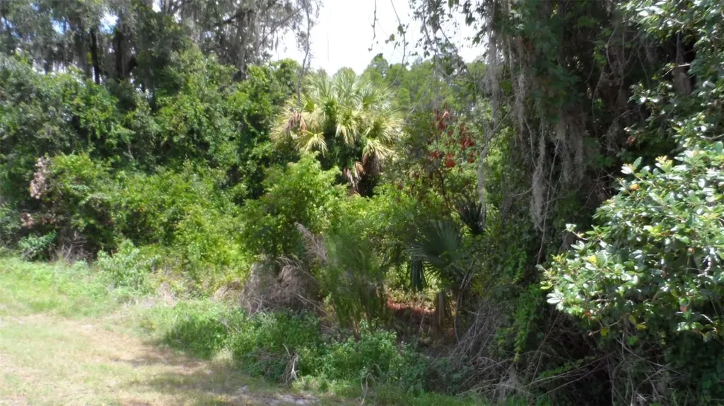 30709 Lanesborough Circle Wesley Chapel FL 33543