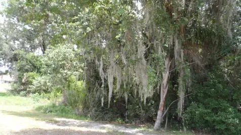 30709 Lanesborough Circle Wesley Chapel FL 33543