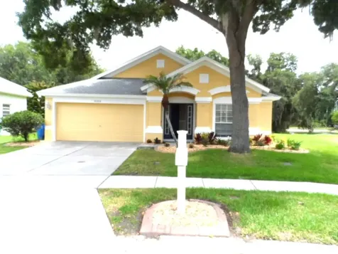 30709 Lanesborough Circle Wesley Chapel FL 33543