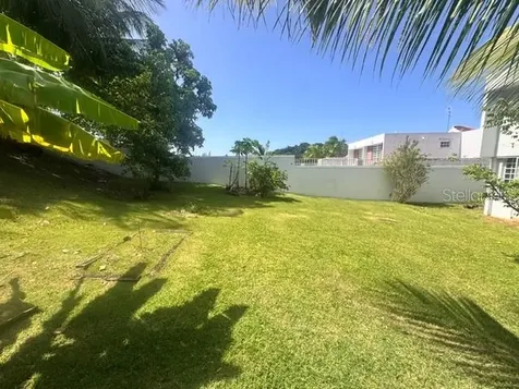 03 Rio Mameyes Luquillo PR 00773