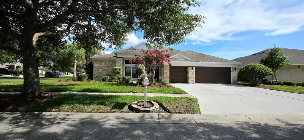 25638 Ferdinand Court Wesley Chapel FL 33544