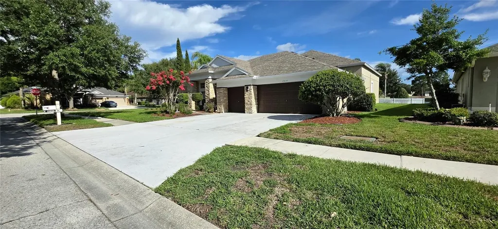 25638 Ferdinand Court Wesley Chapel FL 33544