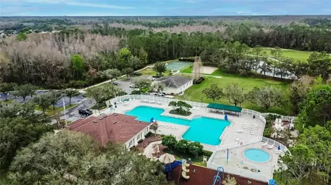 25638 Ferdinand Court Wesley Chapel FL 33544