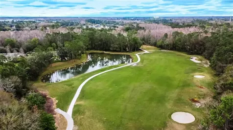 25638 Ferdinand Court Wesley Chapel FL 33544
