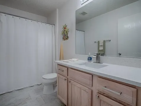3337 Ashbrook Place The Villages FL 32162
