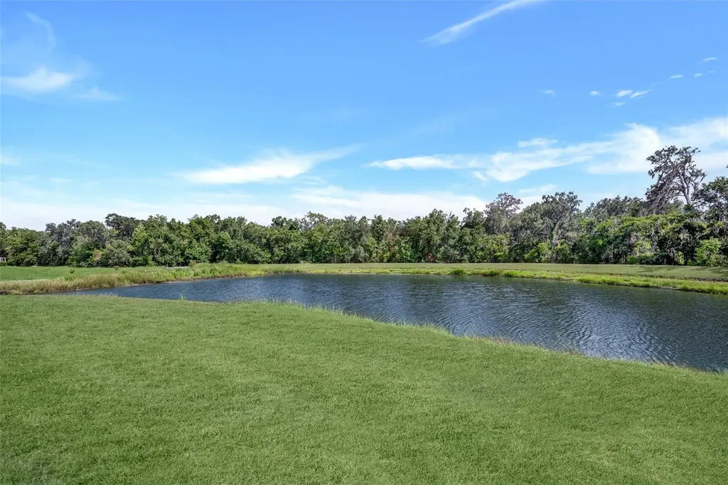 5842 Fishhawk Ridge Drive Lithia FL 33547