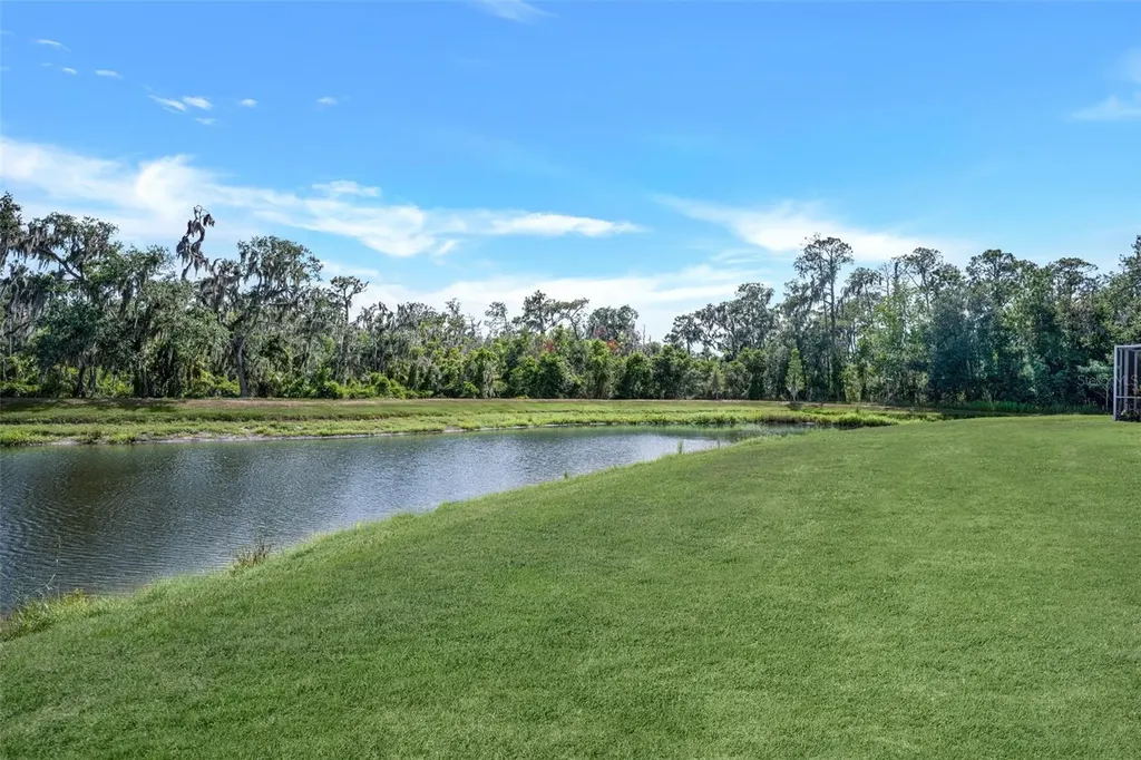 5842 Fishhawk Ridge Drive Lithia FL 33547