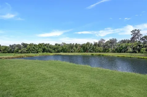 5842 Fishhawk Ridge Drive Lithia FL 33547