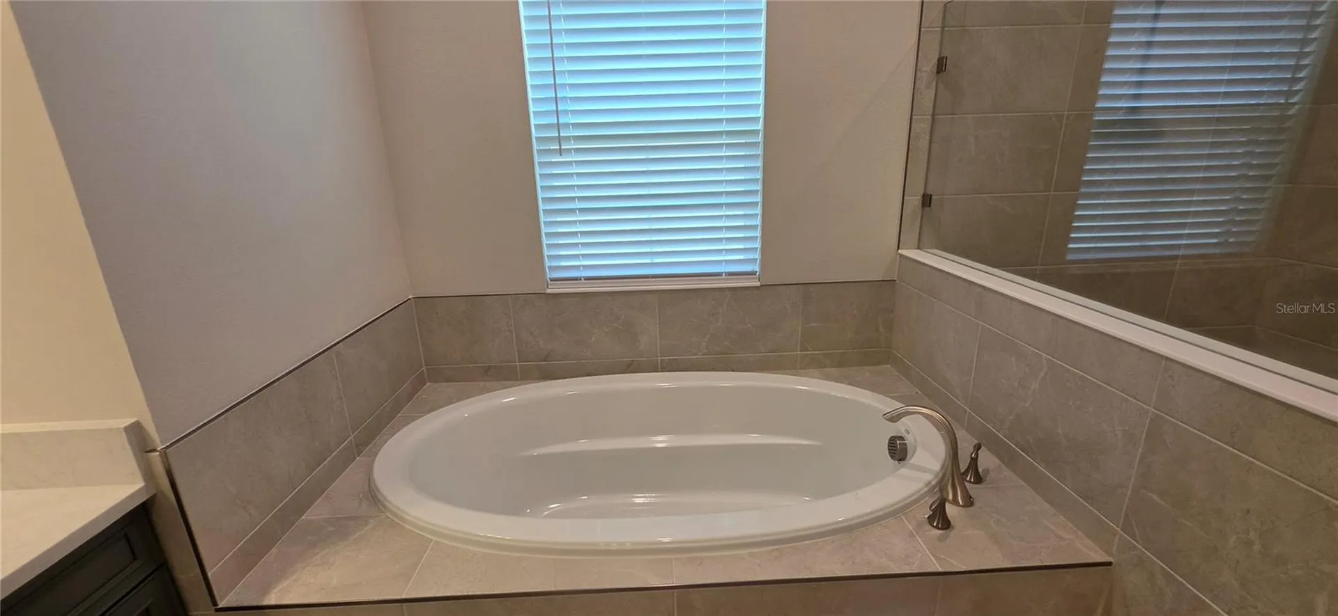 35436 Big Hawk Drive Zephyrhills FL 33541