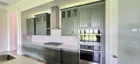 35436 Big Hawk Drive Zephyrhills FL 33541