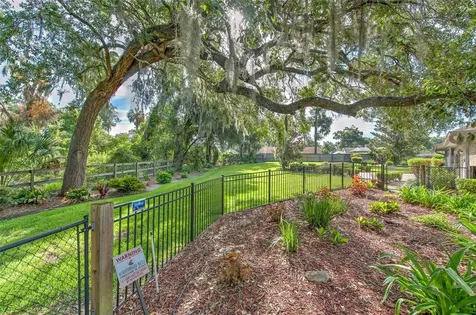 2102 Whitlock Place Dover FL 33527