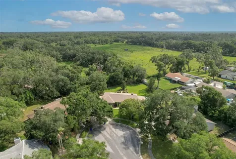 2102 Whitlock Place Dover FL 33527