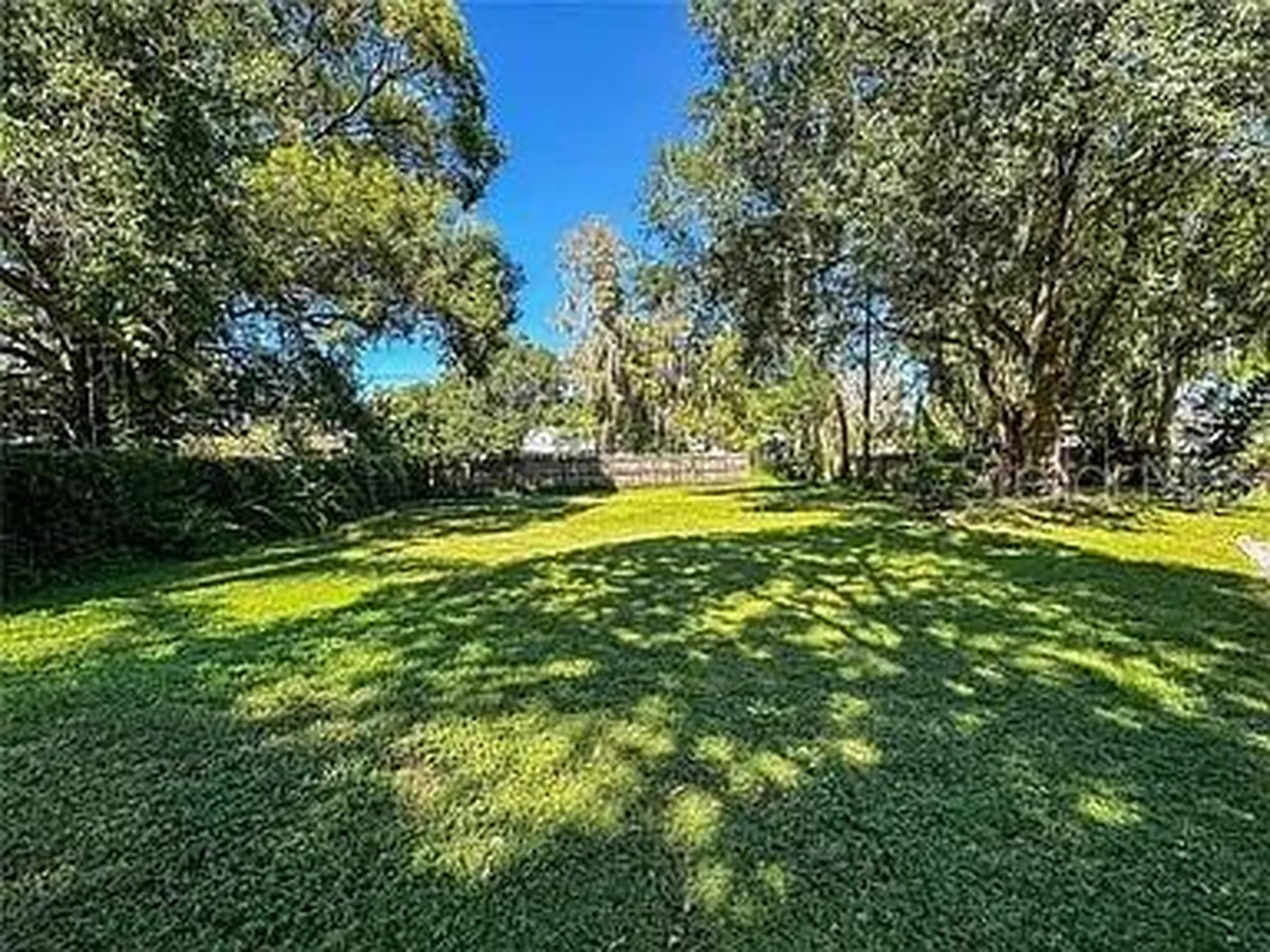 21915 Bell Lake Road Land O Lakes FL 34639