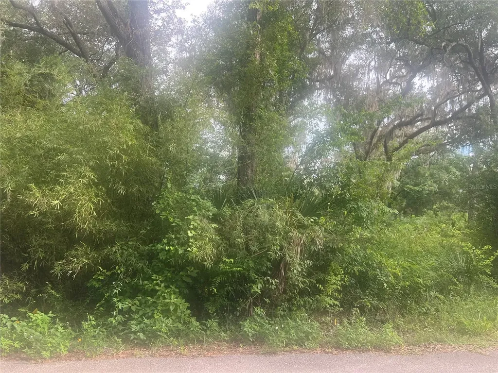 NE 32nd Street Silver Springs FL 34488