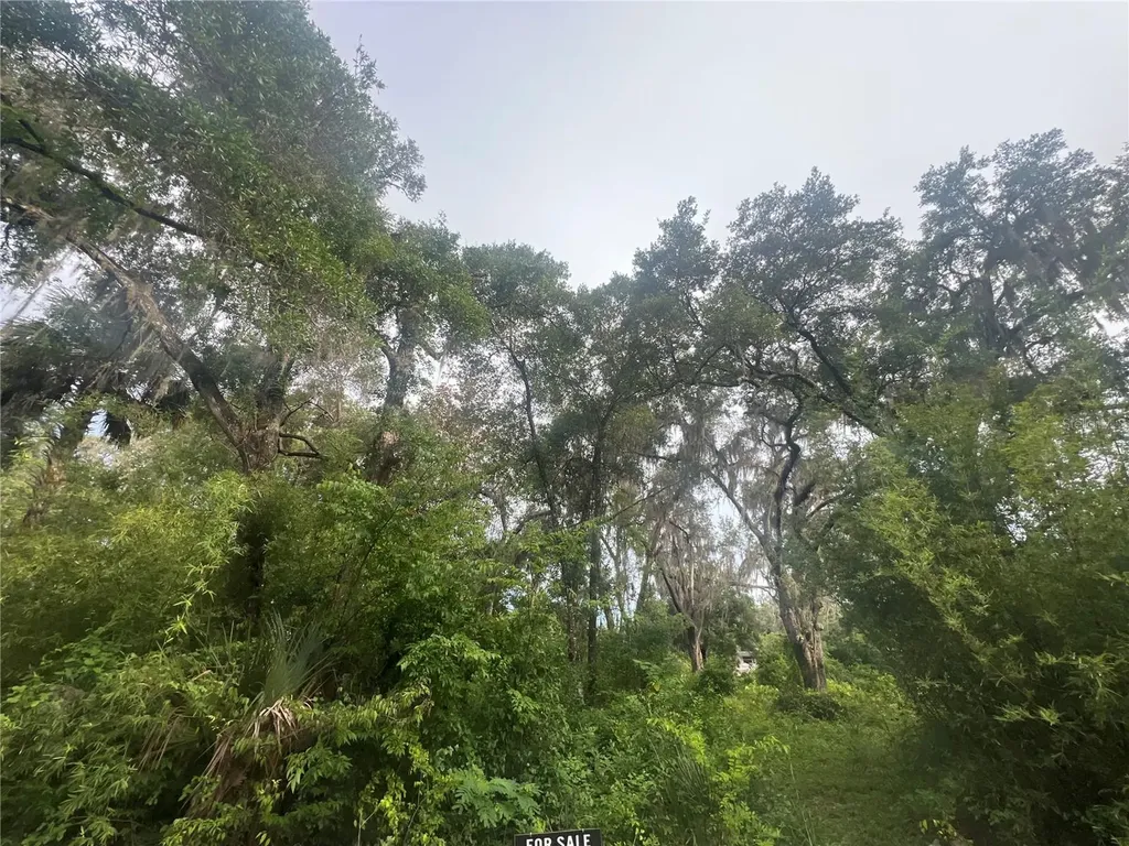 NE 32nd Street Silver Springs FL 34488