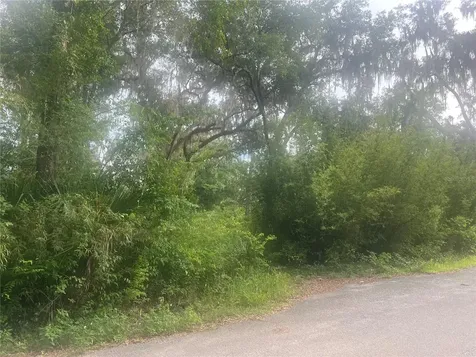 NE 32nd Street Silver Springs FL 34488