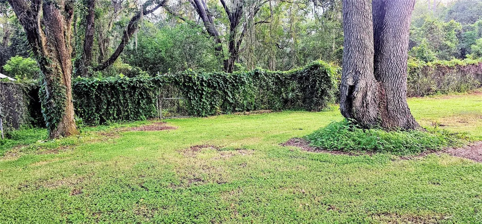 312 Donald Lane Winter Haven FL 33880