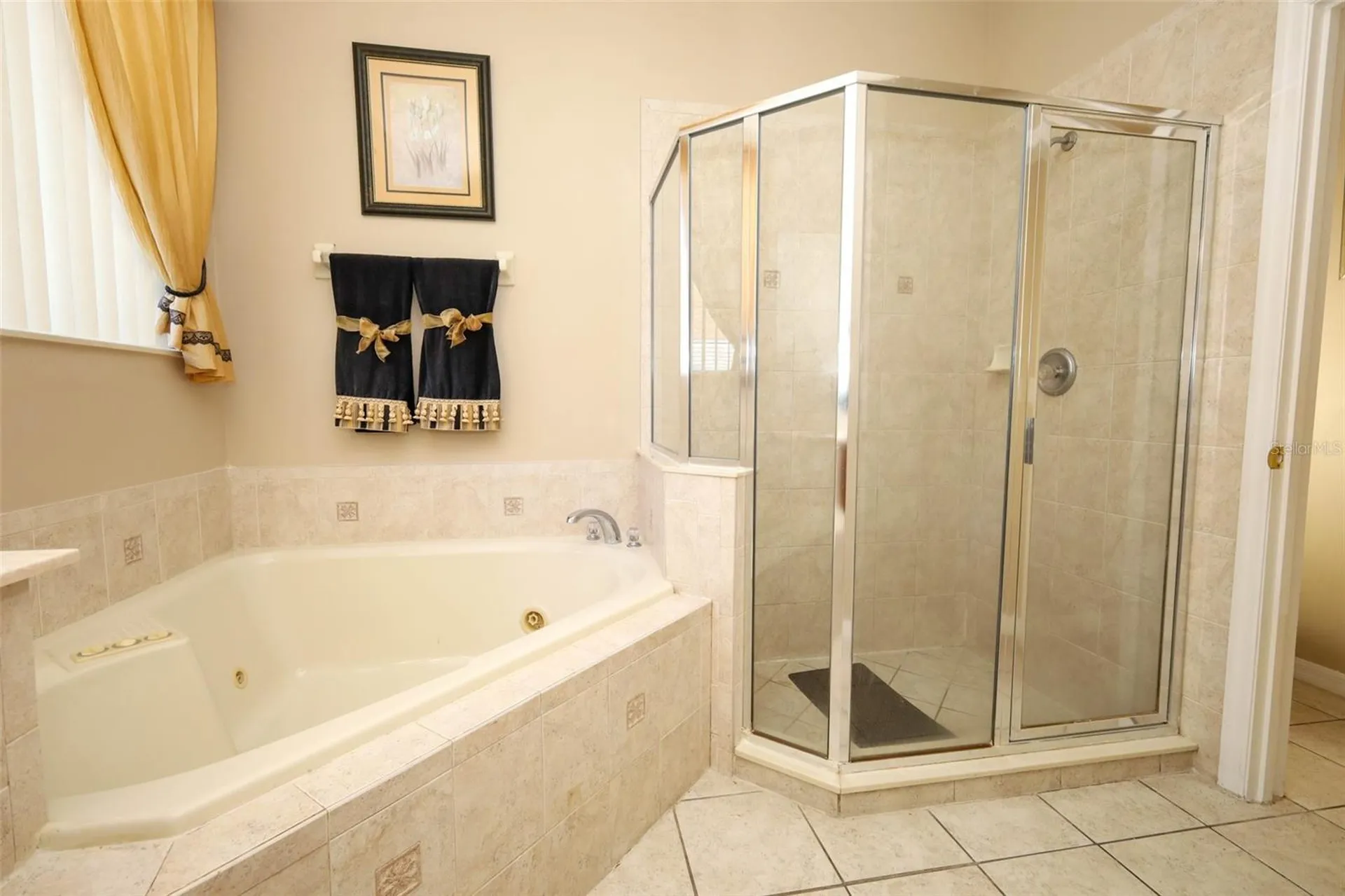 426 Alexandria Place Drive Apopka FL 32712