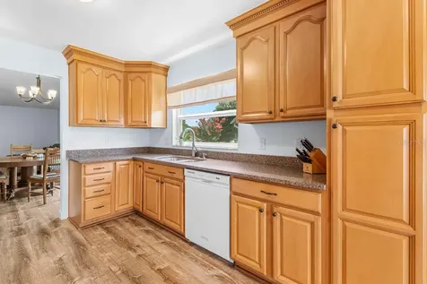 11807 Cedarfield Drive Riverview FL 33579