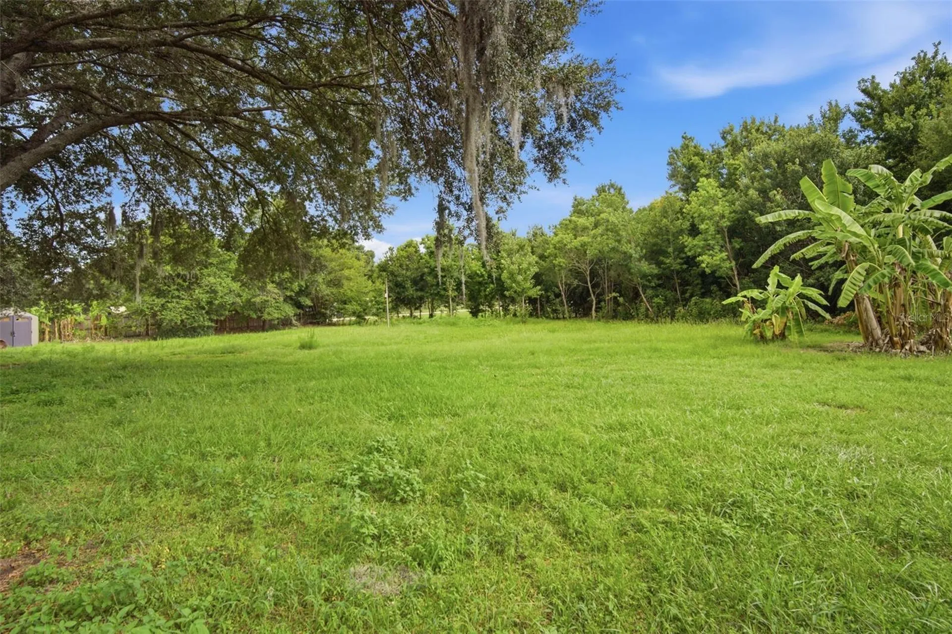 6611 W Knights Griffin Road Plant City FL 33565