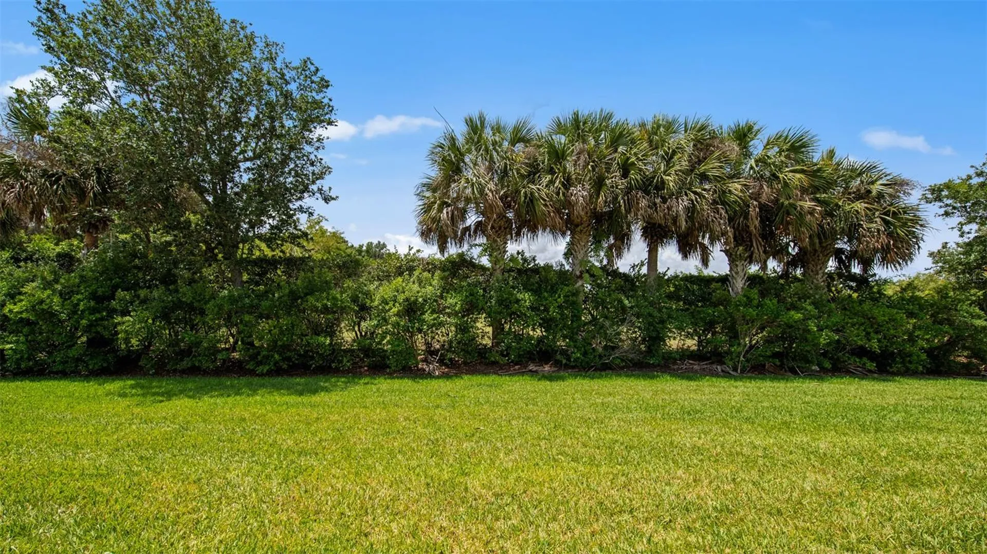 11540 Verandah Palm Court Fort Myers FL 33905
