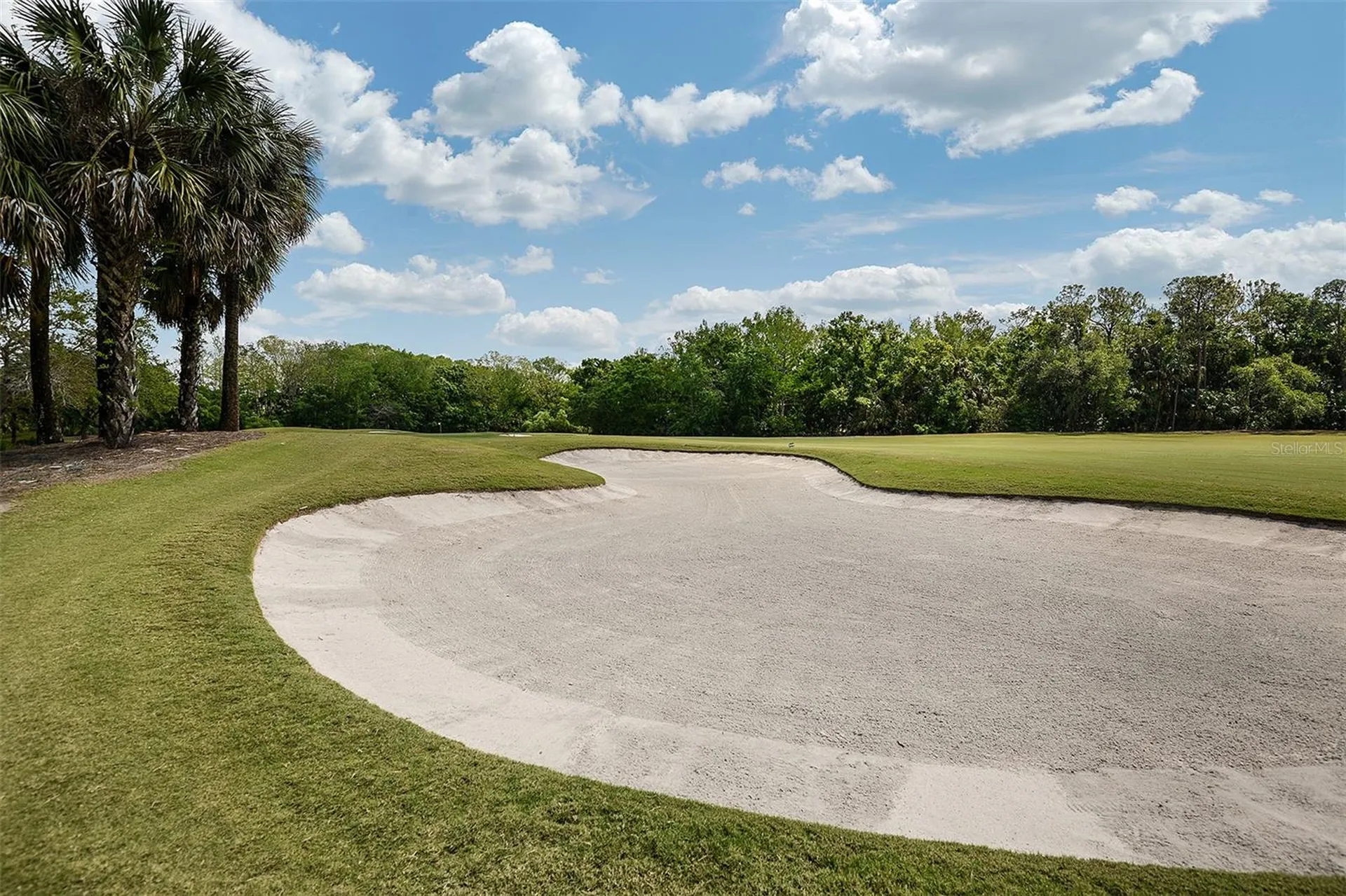 11540 Verandah Palm Court Fort Myers FL 33905