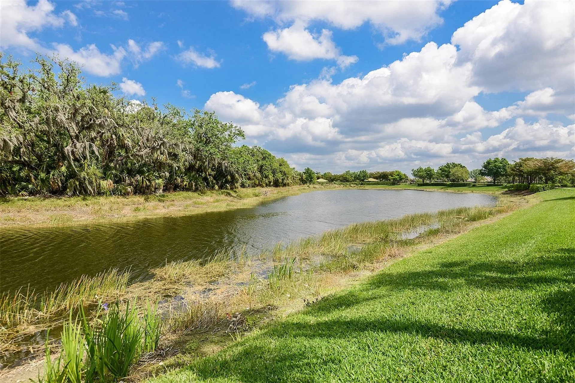 11540 Verandah Palm Court Fort Myers FL 33905
