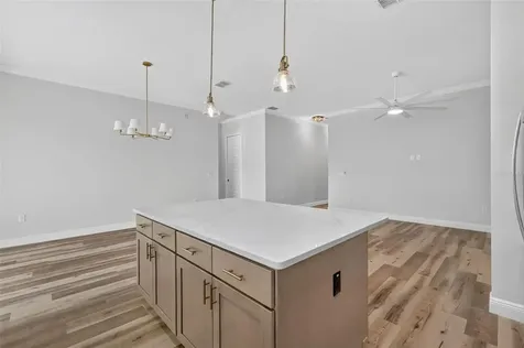 3045 SW 41st Place Ocala FL 34474