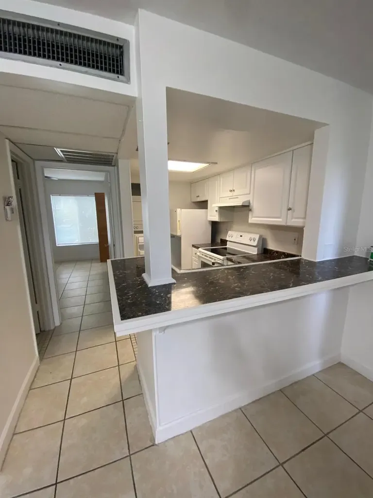 3832 N Lake Drive Tampa FL 33614