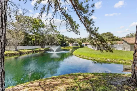 13810 Lazy Oak Drive Tampa FL 33613