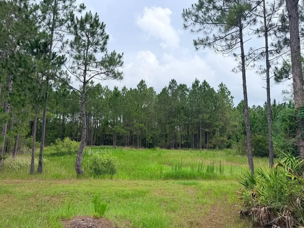 790 NW 42 Terrace Chiefland FL 32626