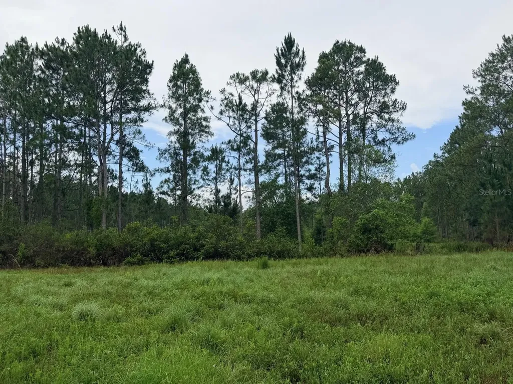 790 NW 42 Terrace Chiefland FL 32626