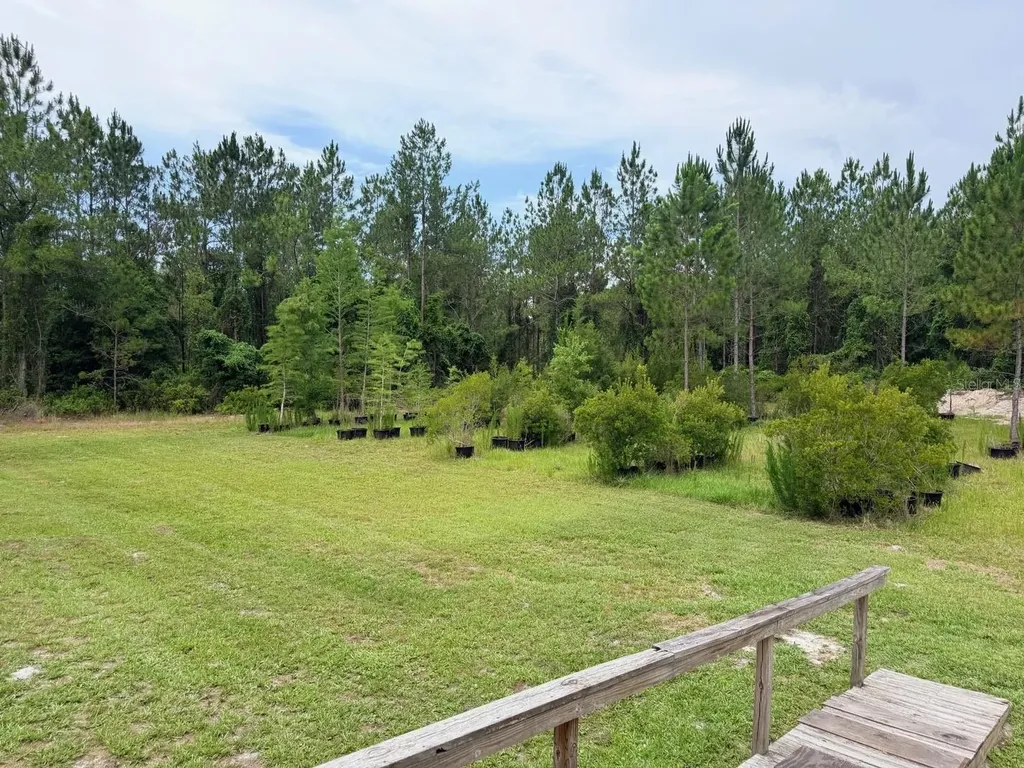 790 NW 42 Terrace Chiefland FL 32626