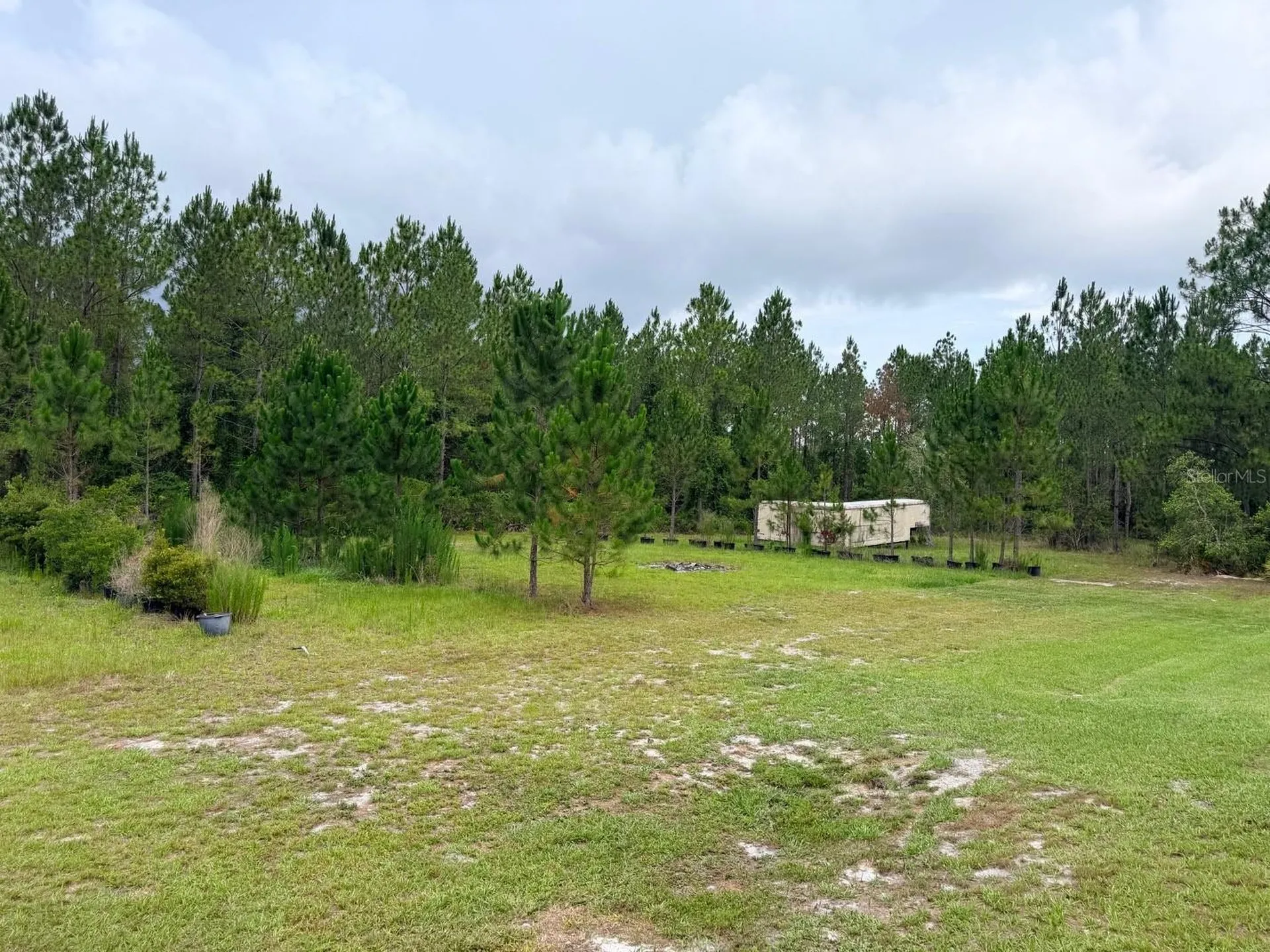 790 NW 42 Terrace Chiefland FL 32626